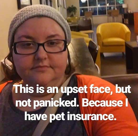 48315869_10157043756177262_5574613103460483072_n